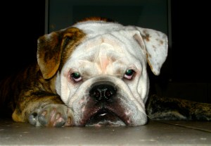 Estoy bien emperrado